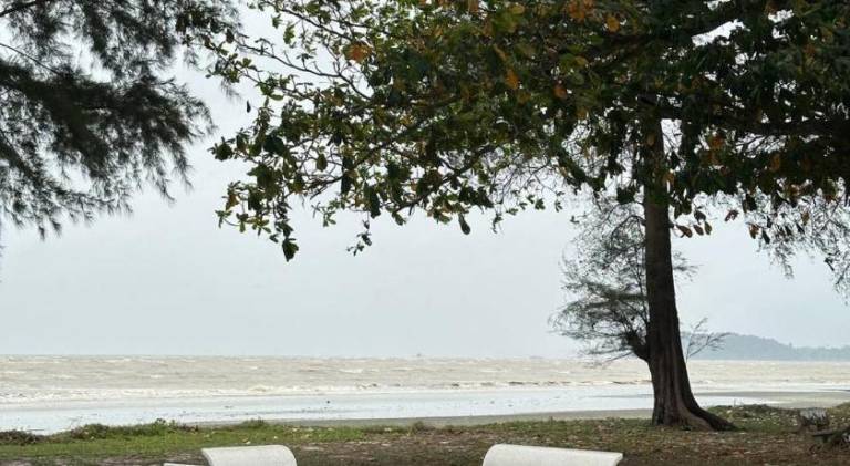 foto41