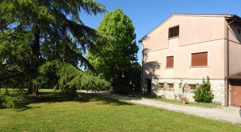 foto41