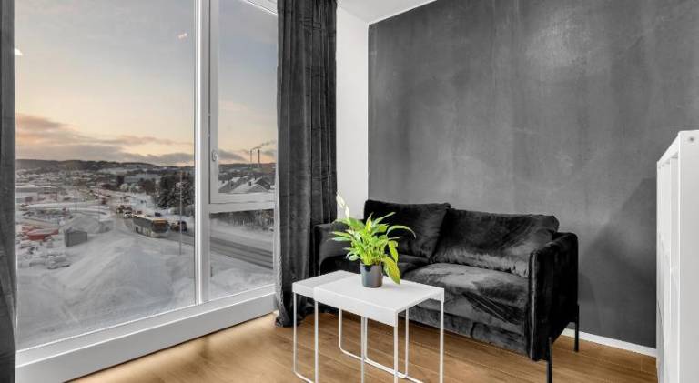 Lovely serviced apartment with garden | Pets are welcome in Tromsø