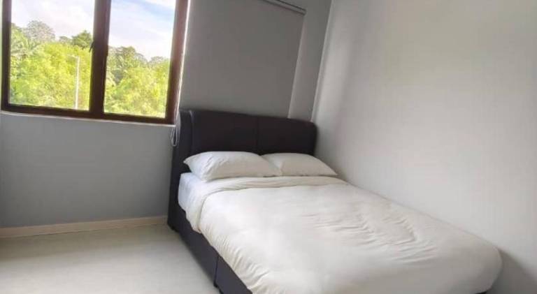 foto41