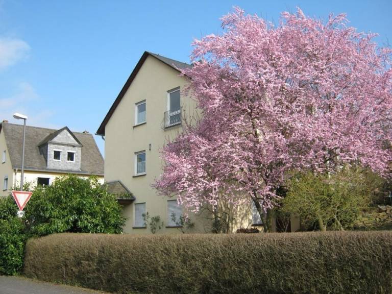 Ferienwohnung Treis-Karden
