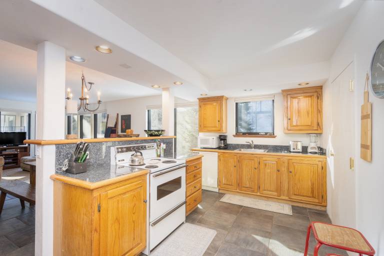 Condo  Telluride