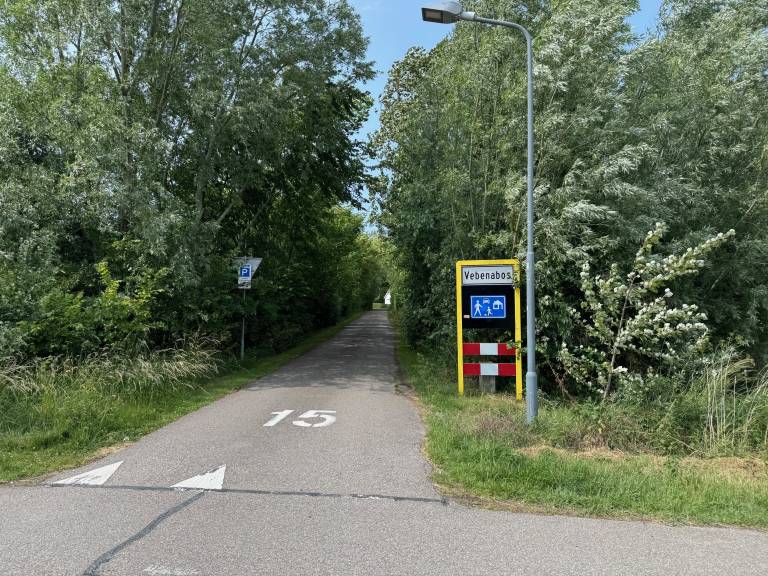 foto22