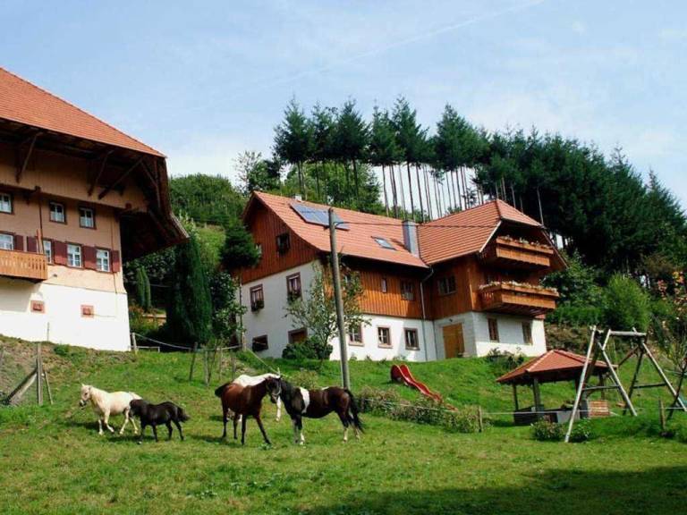 Ferienwohnung Schuttertal