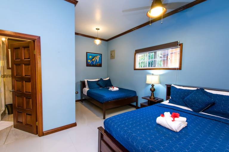 Apartment Placencia