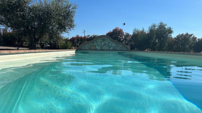 Casa Canino