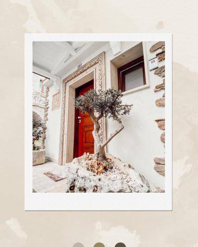 Bed & Breakfast Santeramo In Colle