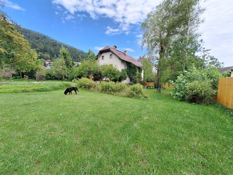foto21