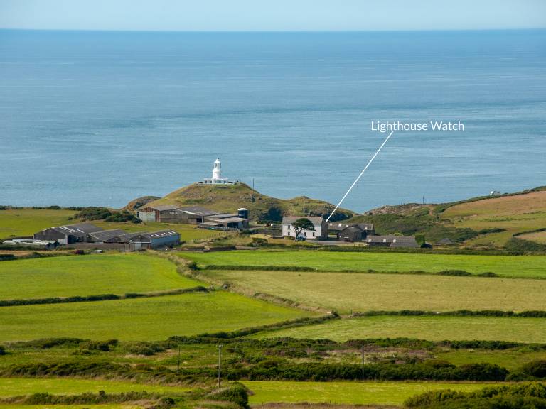 Lighthouse Watch