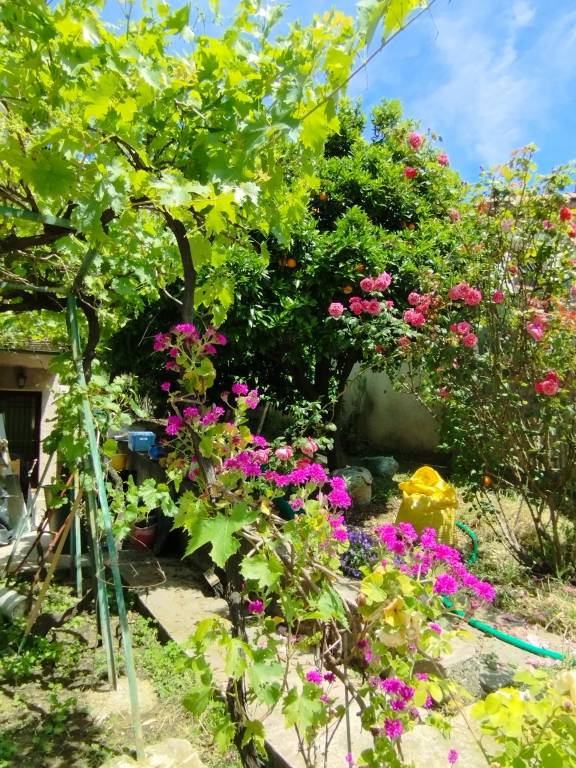 Rental apartment with garden, barbecue & terrace | Mountain view — photo 5