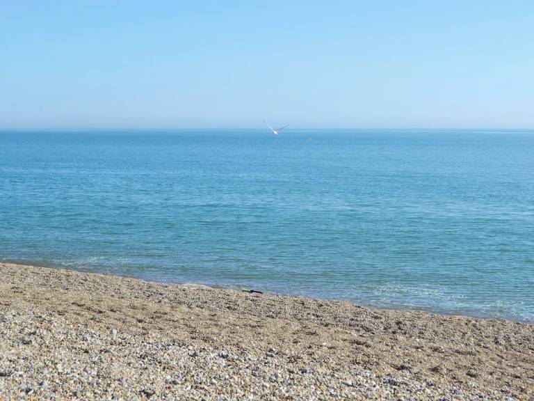 House  Seaford