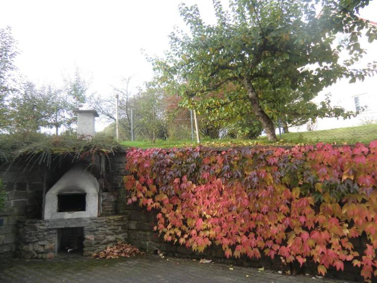foto15