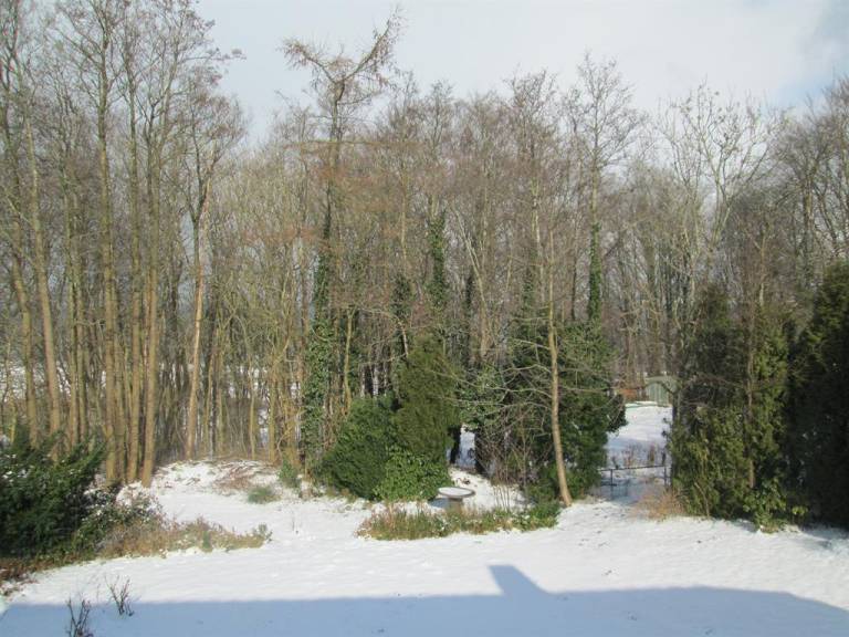 foto7
