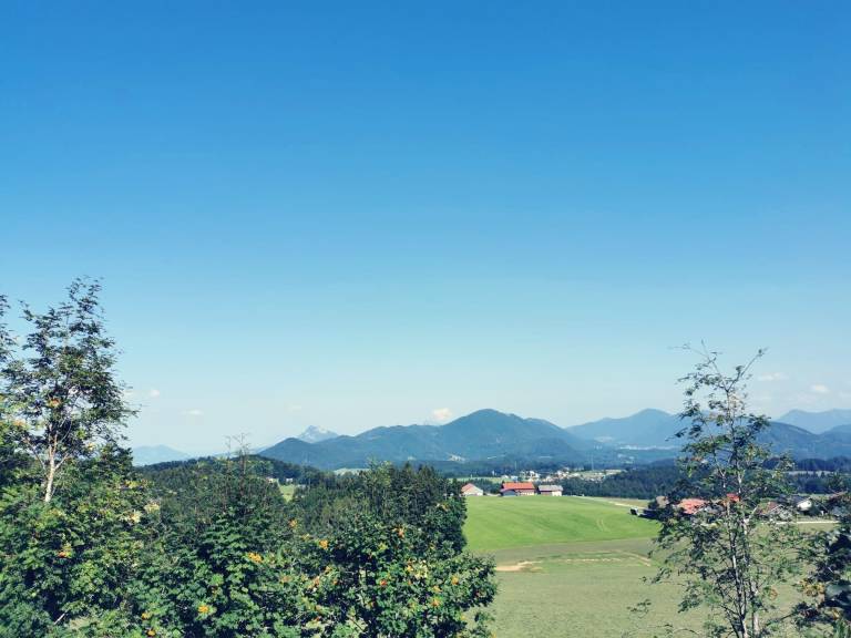 foto1
