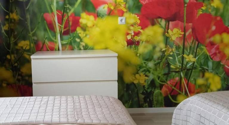 Beautiful apartment | Pet-friendly in Bendorf