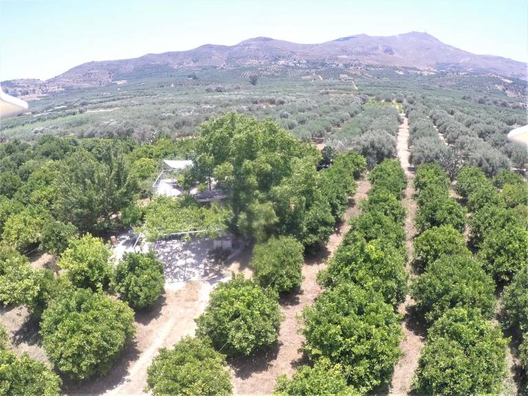 Vacation home with BBQ, garden & terrace | Good for workation in Heraklion