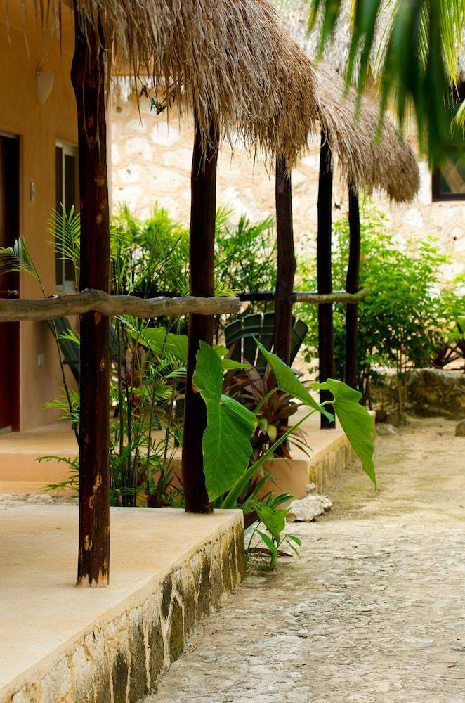 Villa Tortugas — photo 3