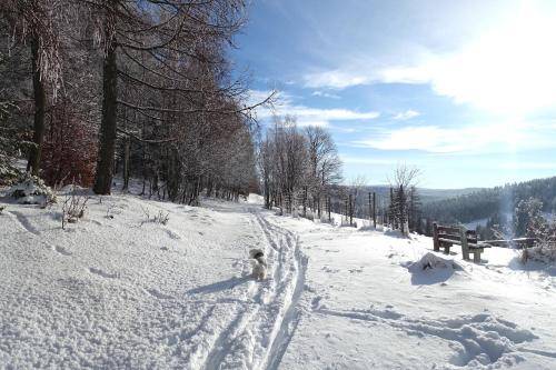 foto16