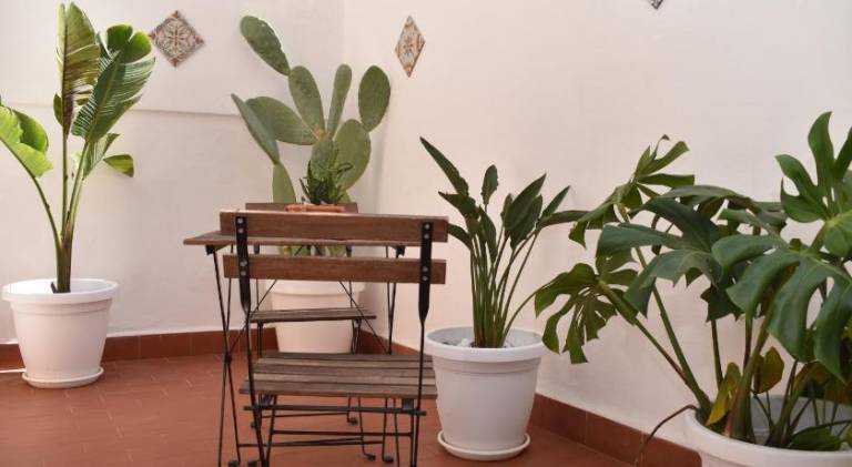 Beautiful vacation home | Close to Palermo Cathedral | Pets are welcome — photo 3