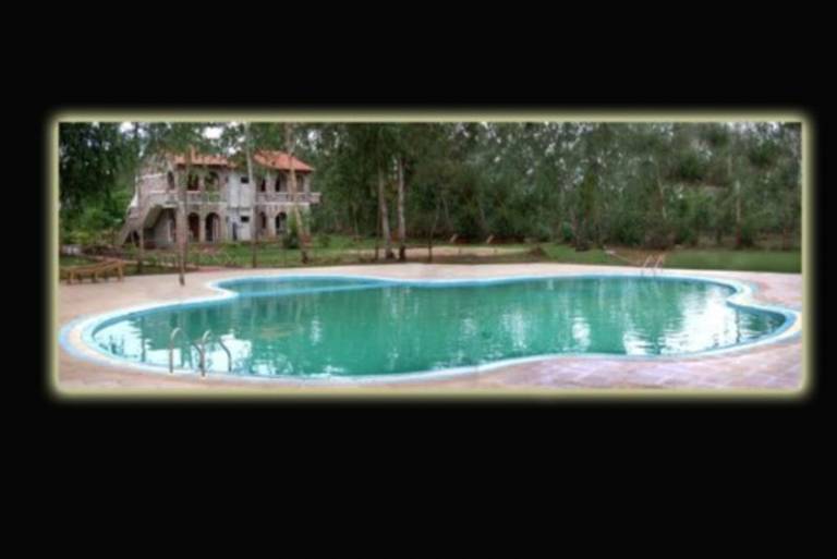 Mogli Jungle Resorts — photo 3