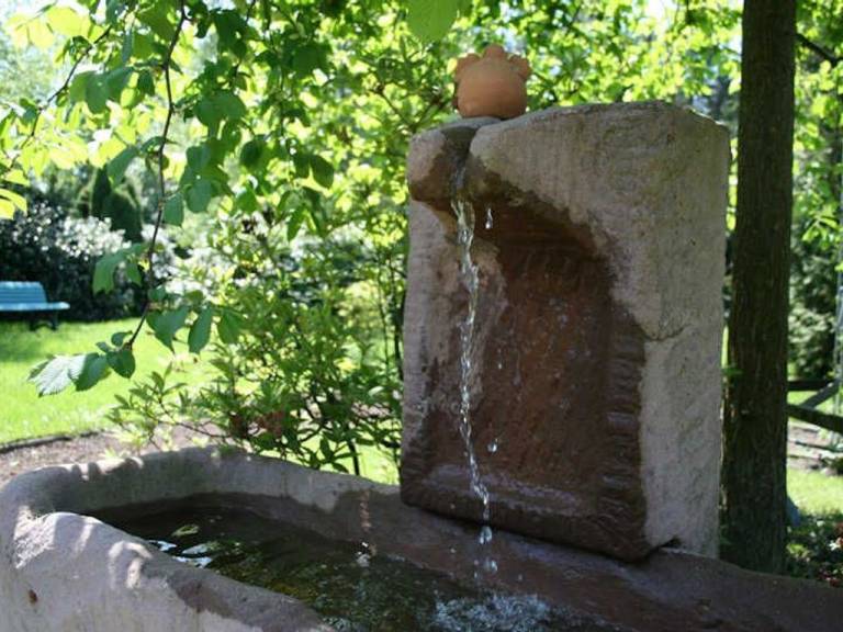 foto31