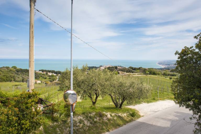 Family-oriented wonderful holiday apartment with terrace | Sea view | Dogs allowed — photo 4