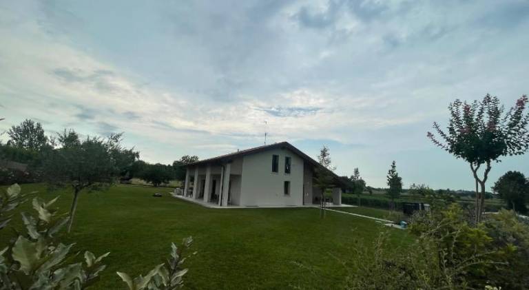 Il Fiore del lago — photo 5