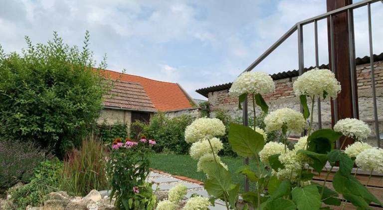 foto23