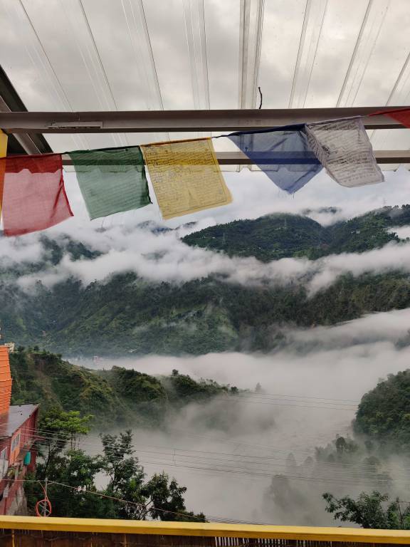 foto19