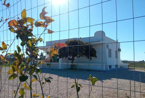 Bed & Breakfast Metaponto