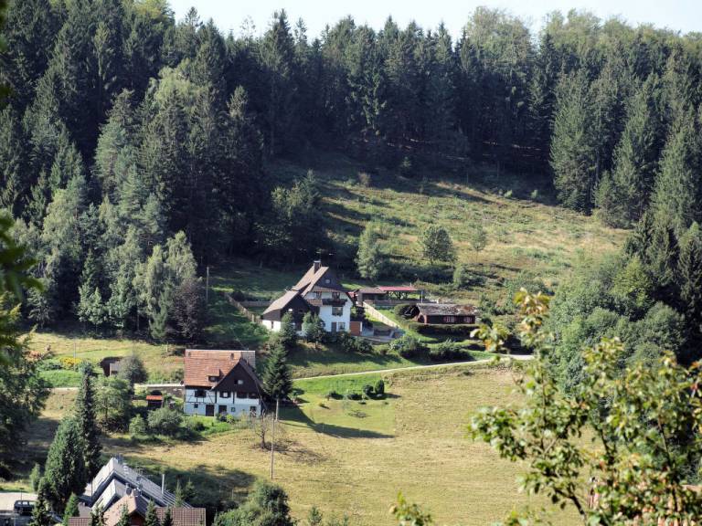 foto11