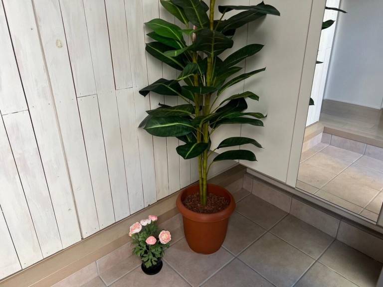 foto18