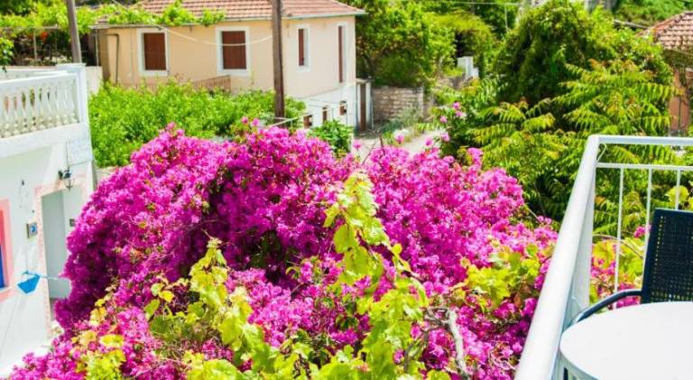 Holiday apartment with patio in Kefalonia