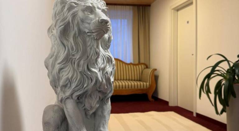 Hotel Pension Lowen nahe Feldkirch - gunstige Zimmer fur Urlauber, Firmen und Monteure — photo 4