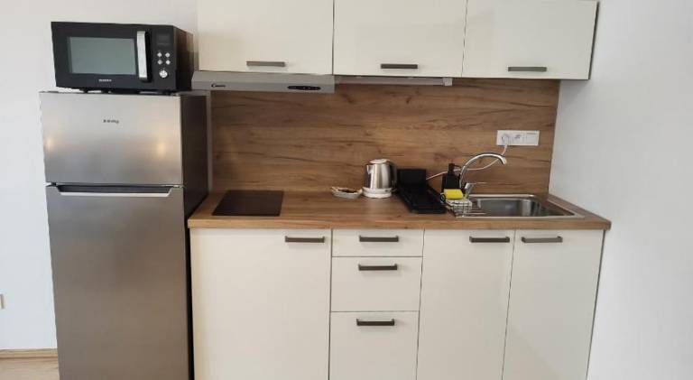 Holiday apartment | Near Špilberk Castle | Pets are welcome — photo 3