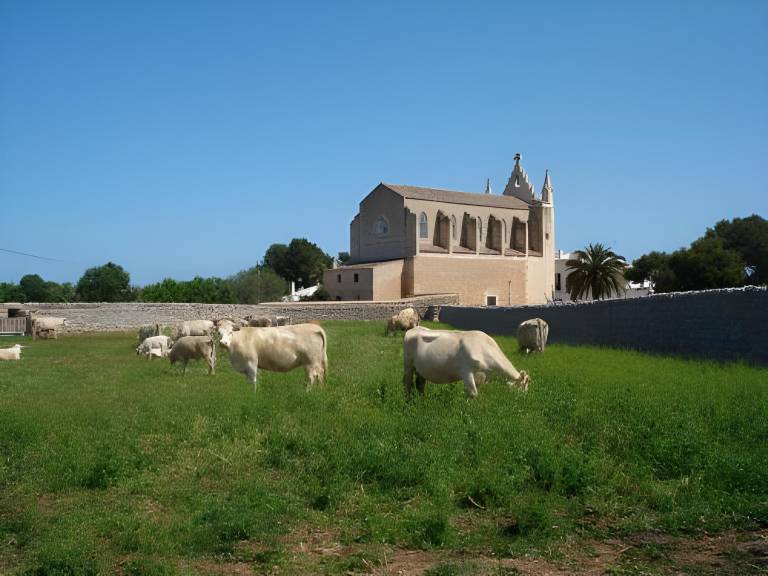 foto14