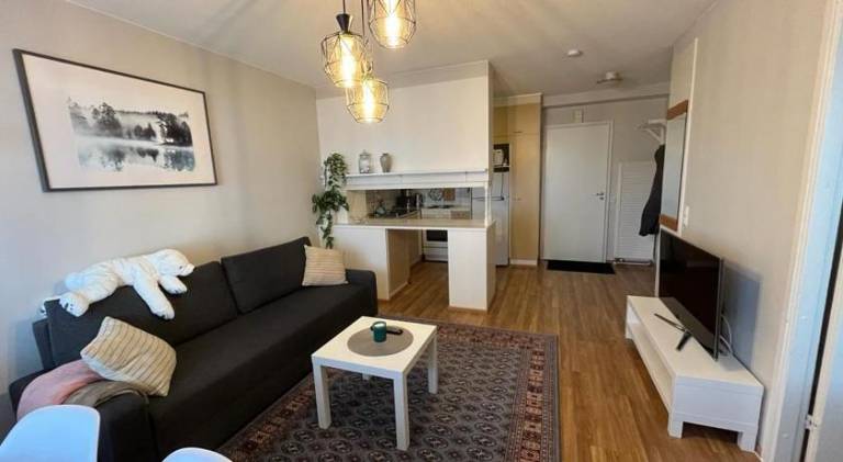 Rental apartment with 1 room for 4 persons — photo 2