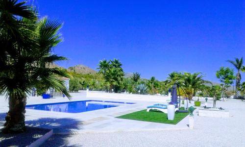 Bed & Breakfast Abanilla
