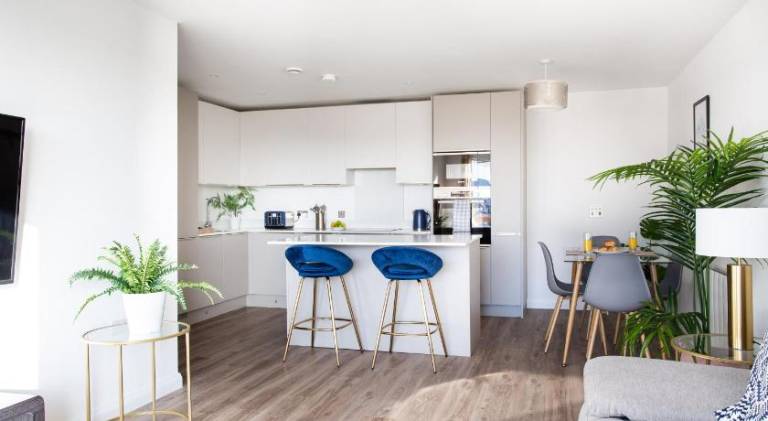 Stylish 2BR Apartments by Luxus Sleeps 6 Central Location in Belfast
