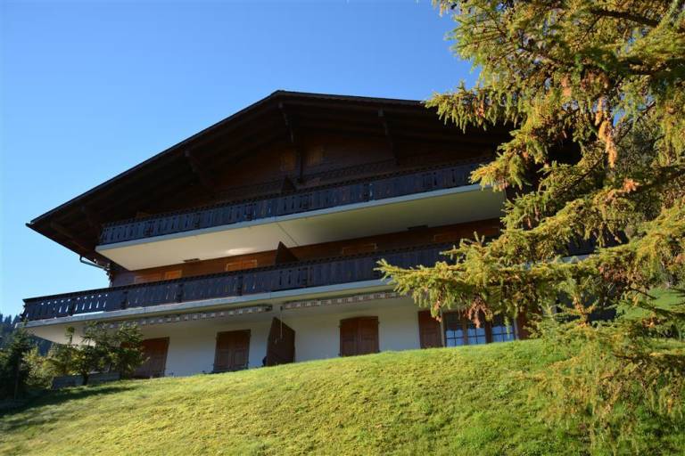 Ferienwohnung  Gstaad