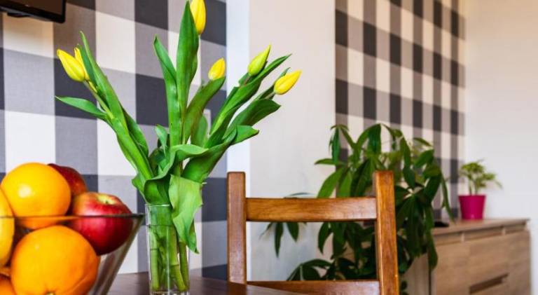 Apartament Andrychów