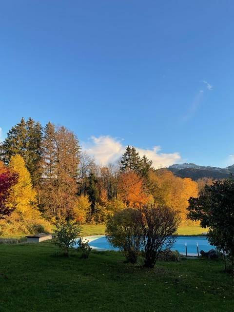 foto26