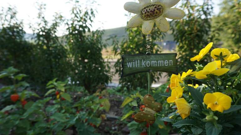 Ferienwohnung Brauneberg