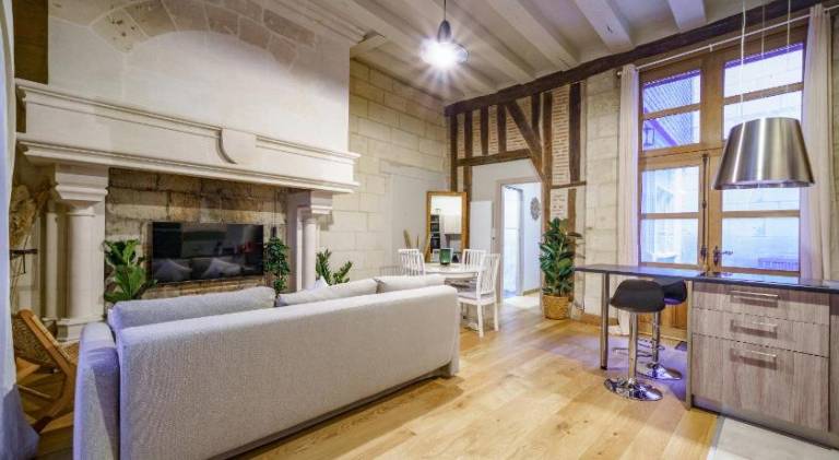 Wonderful apartment | Dogs allowed in Chinon