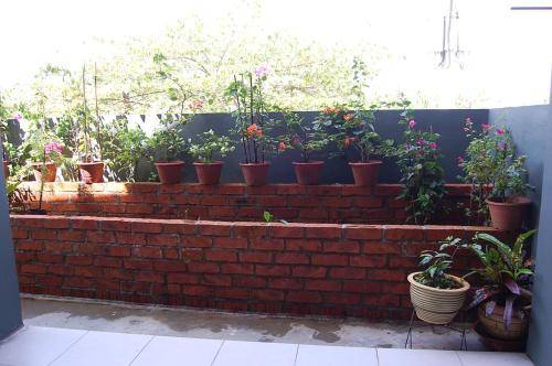 foto19