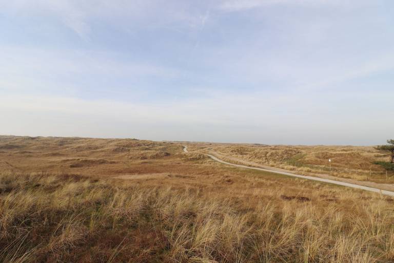 foto14