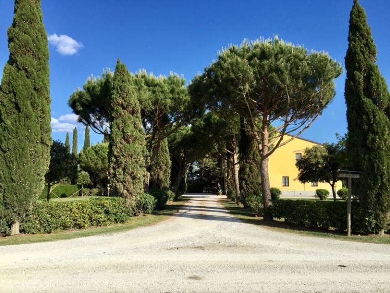 Agriturismo La Ranocchiaia: Appartamento Santo Spirito 1 — photo 4