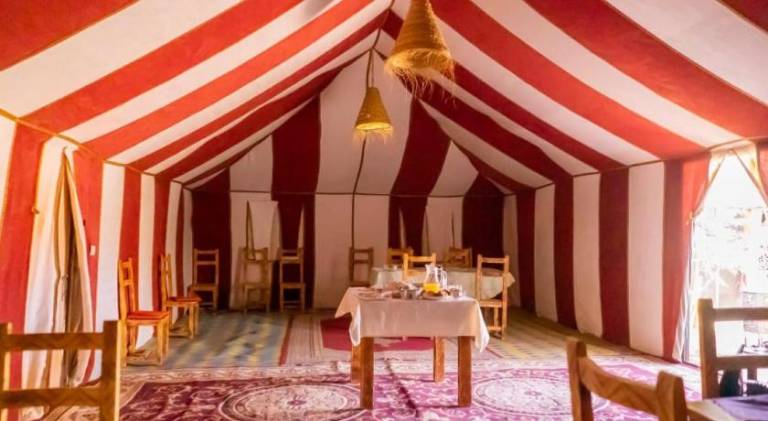 Desert Life Camp — photo 2