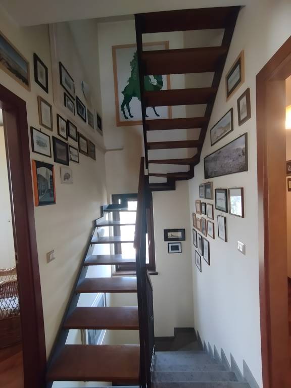 foto37