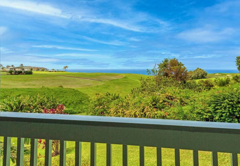 Condo Hanalei